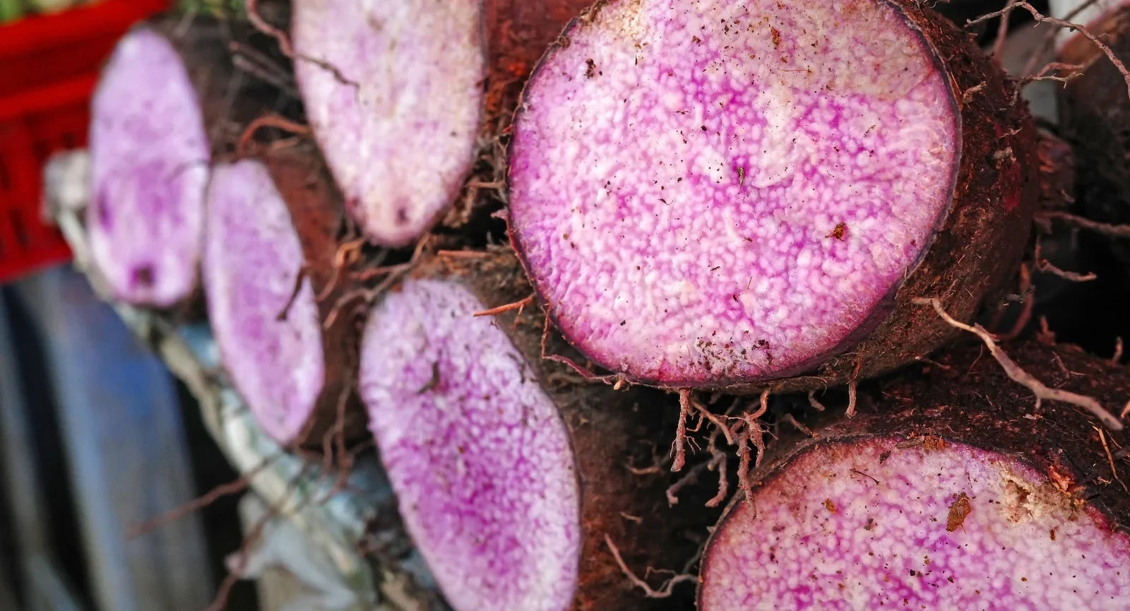 Violette Yamswurzel: Was Ube von anderen Yamsarten unterscheidet
