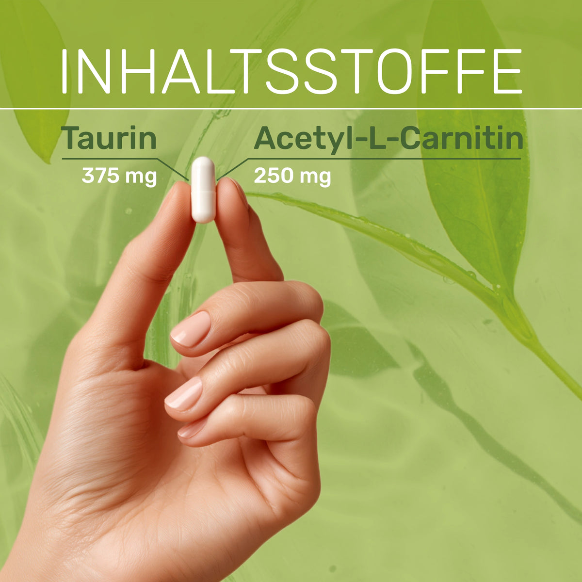 Acetyl-L-Carnitin mit Taurin Inhaltsstoffe: Taurin 375mg, Acetyl-L-Carnitin 250mg