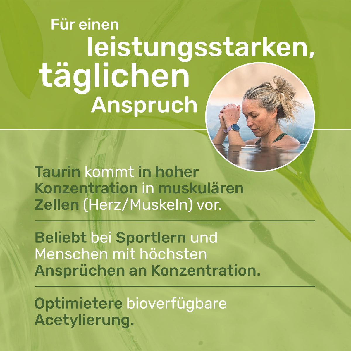 Acetyl-L-Carnitin mit Taurin: Für einen leistungsstarken, täglichen Anspruch 