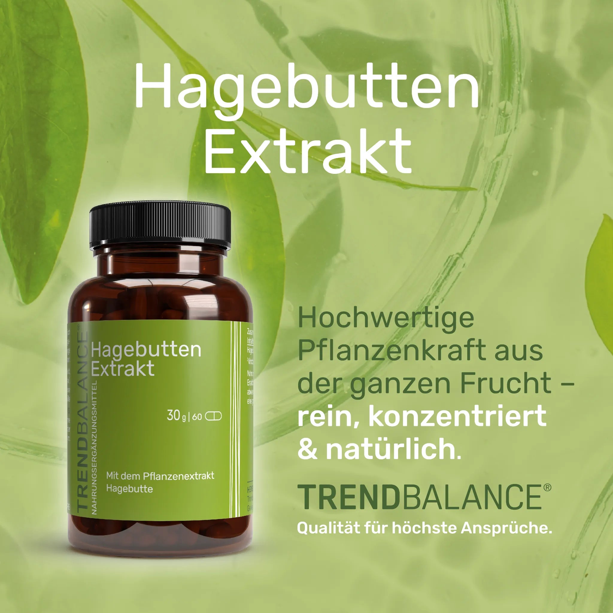 Hagebutten Extrakt 