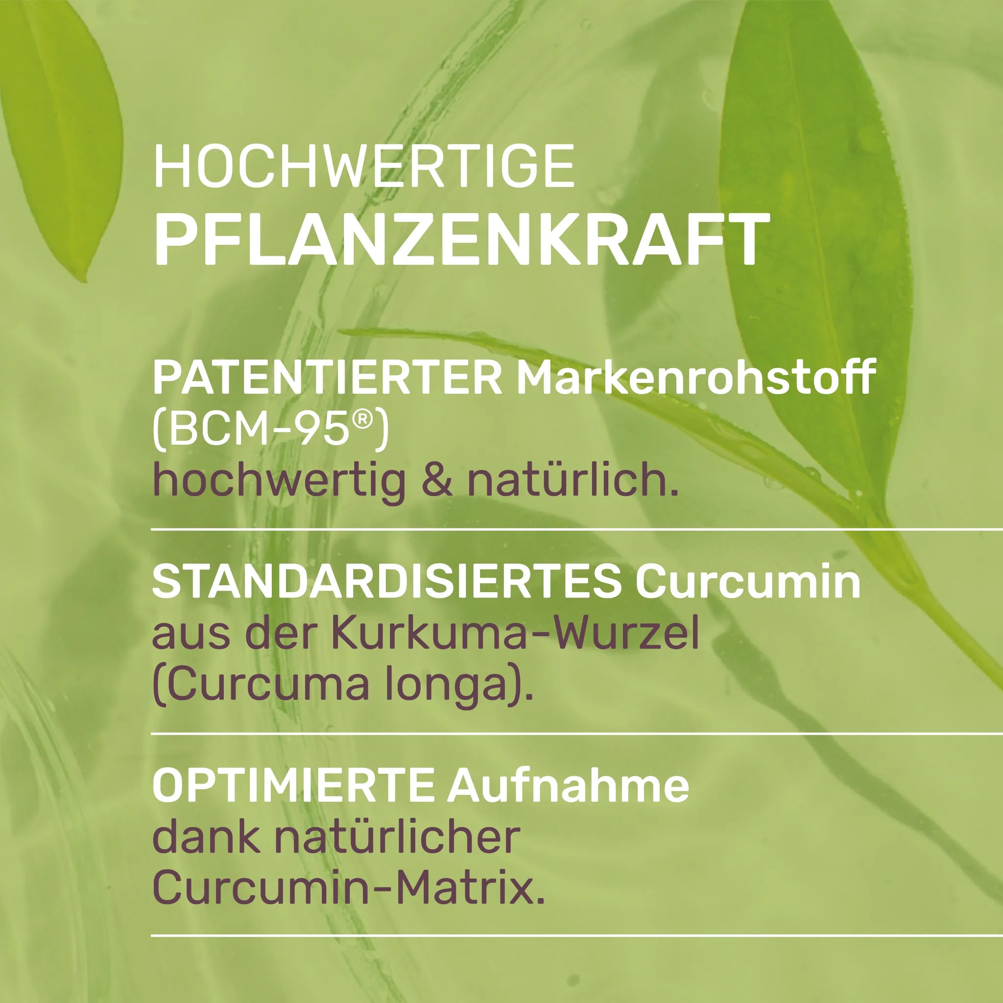 L-Curcumin hochwertige Pflanzenkraft 
