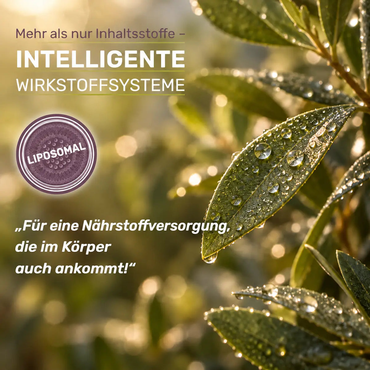 Liposomal. Mehr als nur Inhaltsstoffe. Intelligente Wirkstoffsysteme. "Für eine Nährstoffversorgung, die im Körper auch ankommt!"
