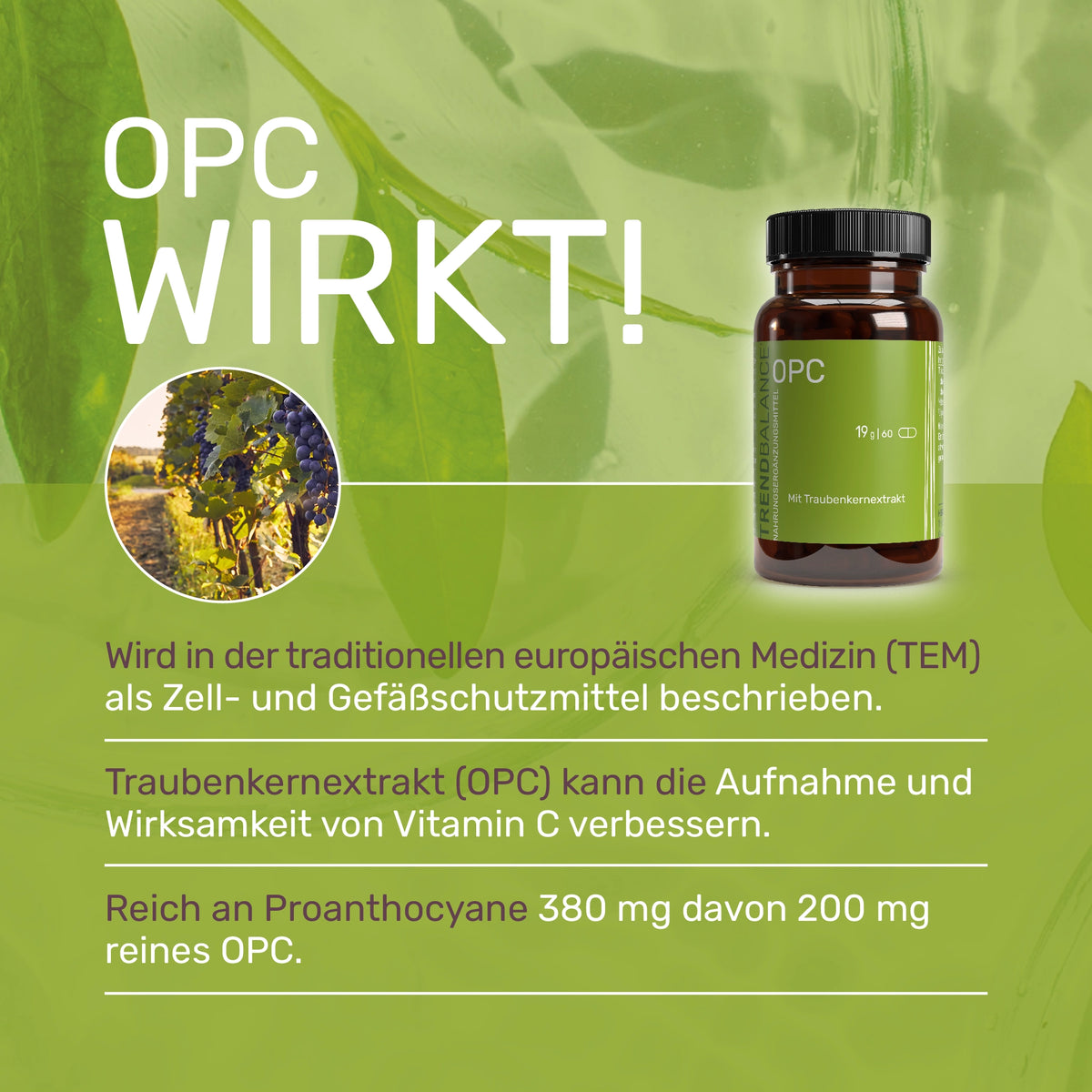 OPC Wirkt! 