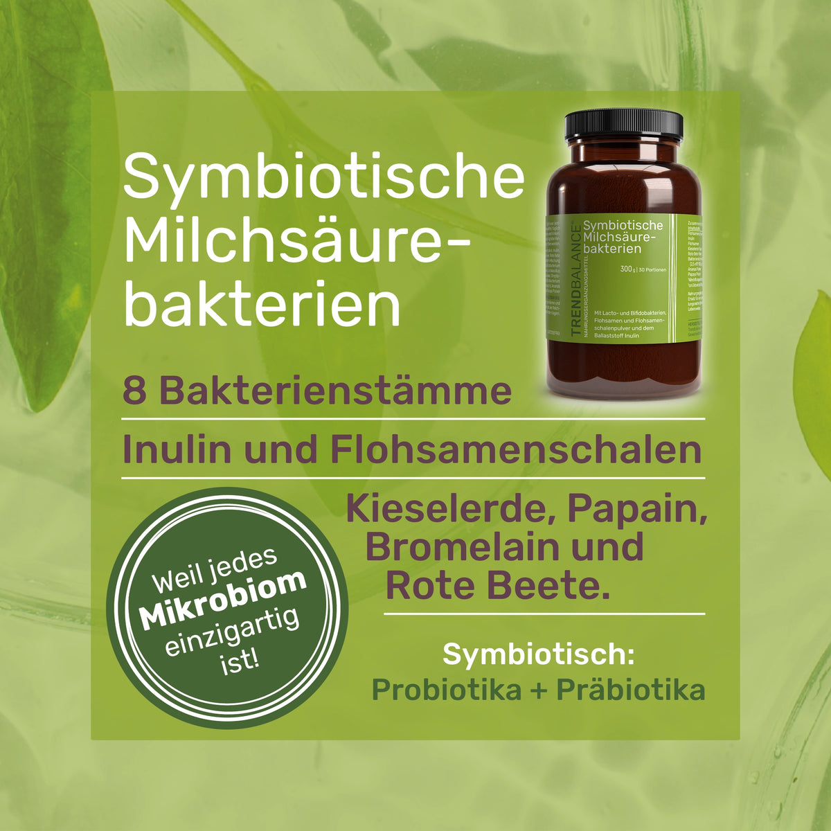 Symbiotische Milchsäurebatkerien: 8 Bakterienstämme, Insulin und Flohsamenschalen