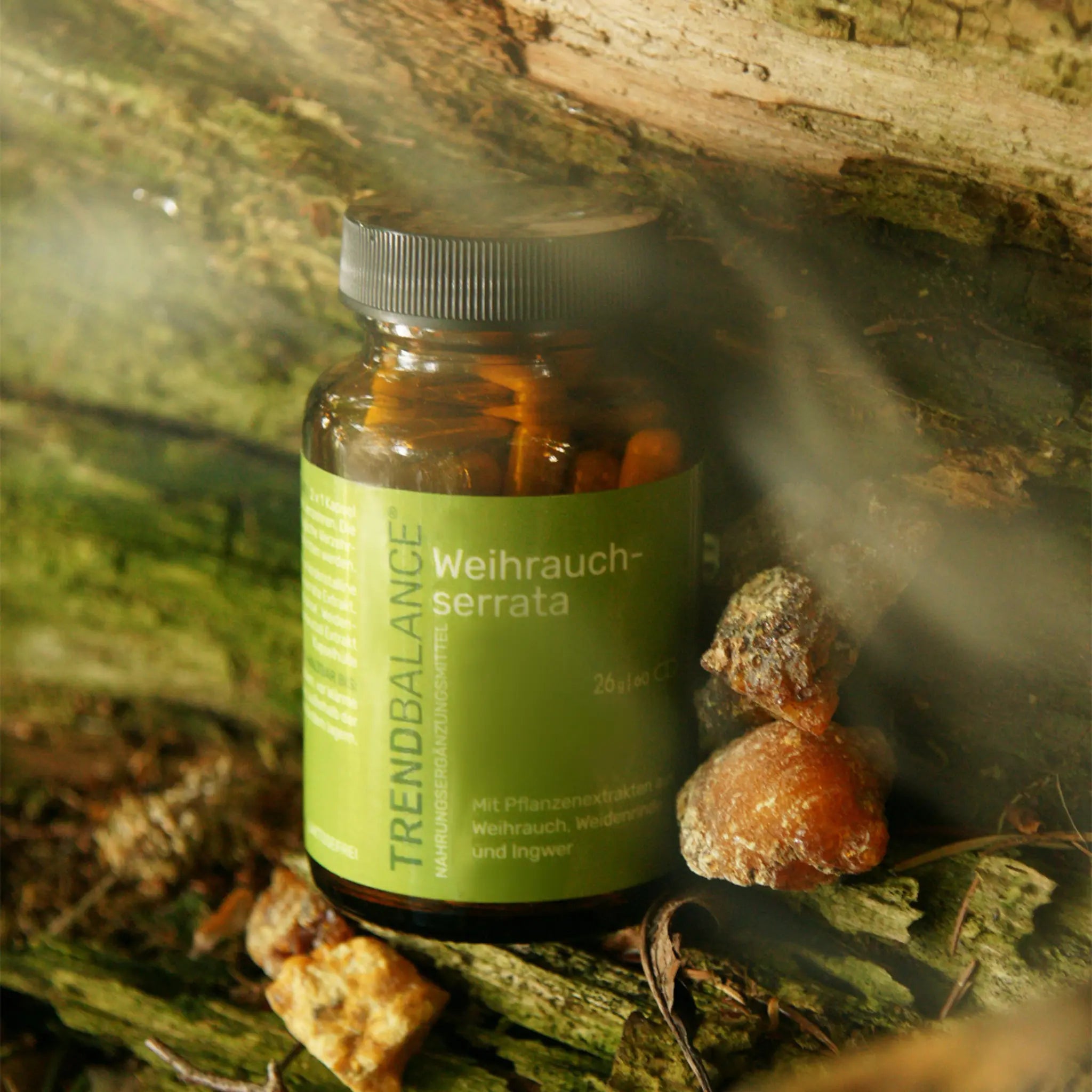 Weihrauch-serrata Produktbild 