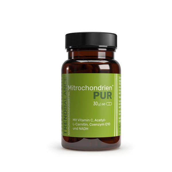 Mitochondrien Pur
