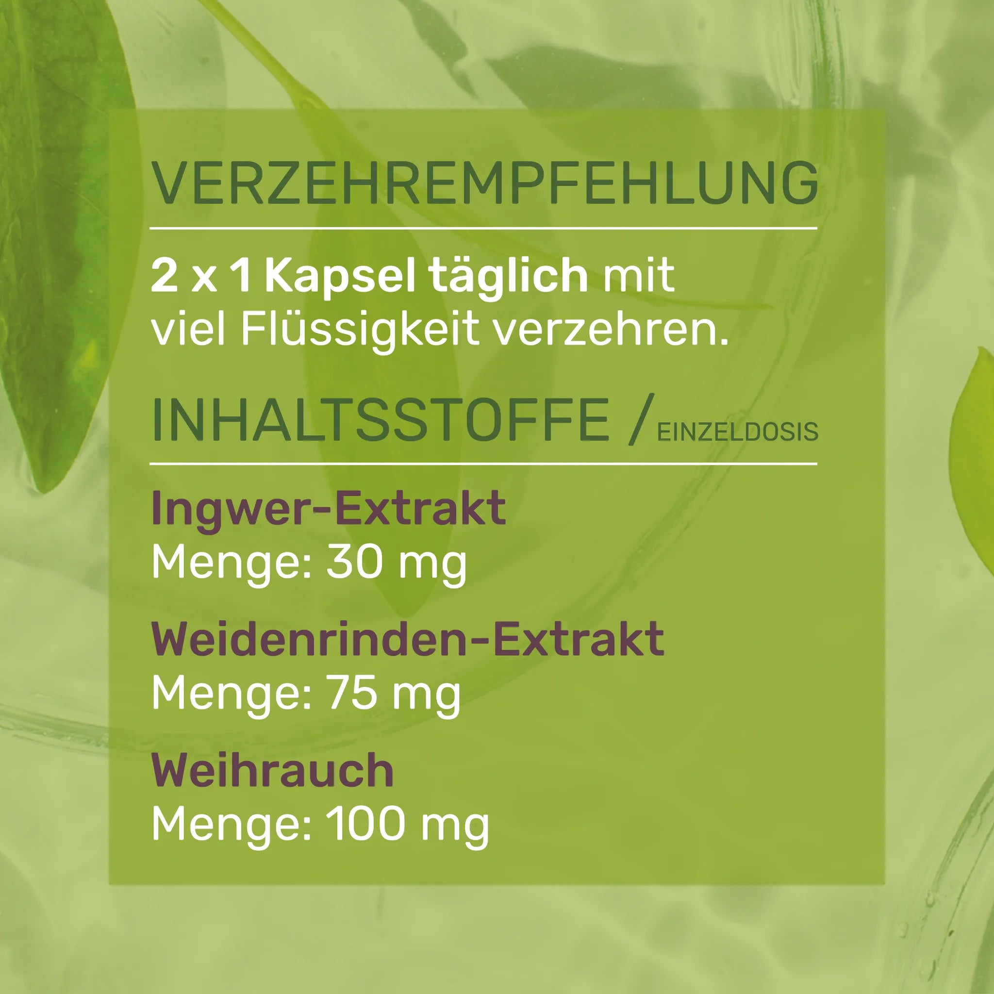 Weihrauch serrata Verzehrsempfehlung