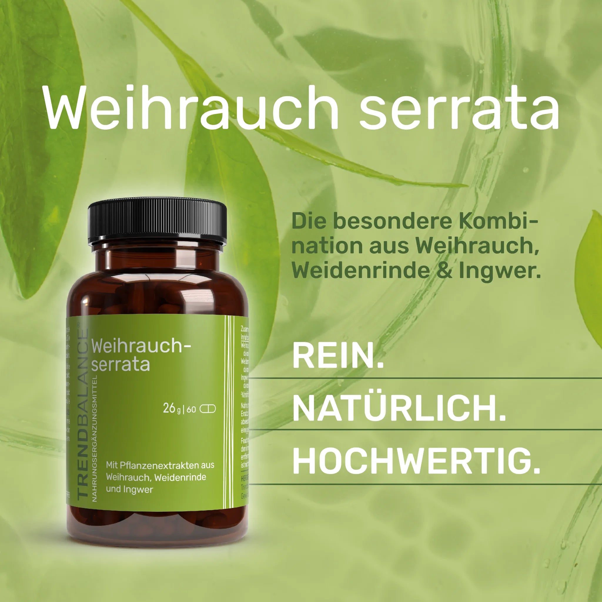 Weihrauch serrata Rein. Natürloich. Hochwertig. 